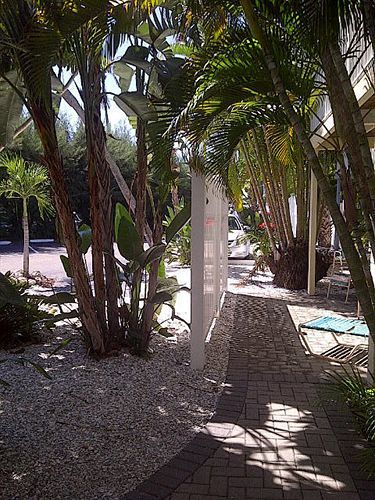 Coquina On The Beach Lido Key  エクステリア 写真