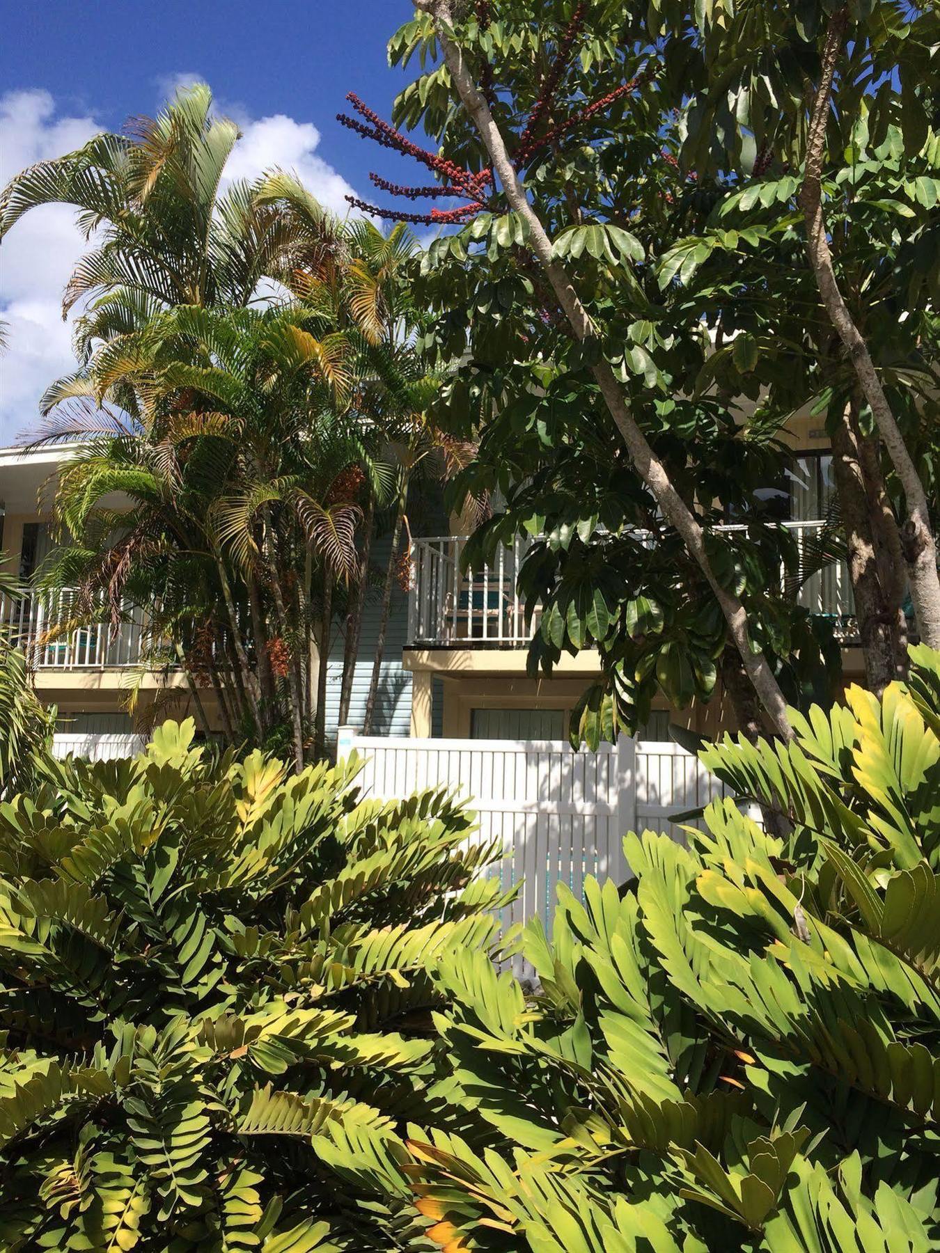 Coquina On The Beach Lido Key  エクステリア 写真